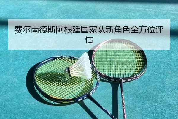费尔南德斯阿根廷国家队新角色全方位评估